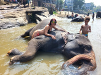 /album/fotogaleria-sri-lanka-maldivy-zajazd-vy-a-my/sri-lanka-maldivy-zajazd-311-jpg1/